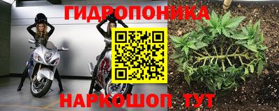 2c-b Кимры