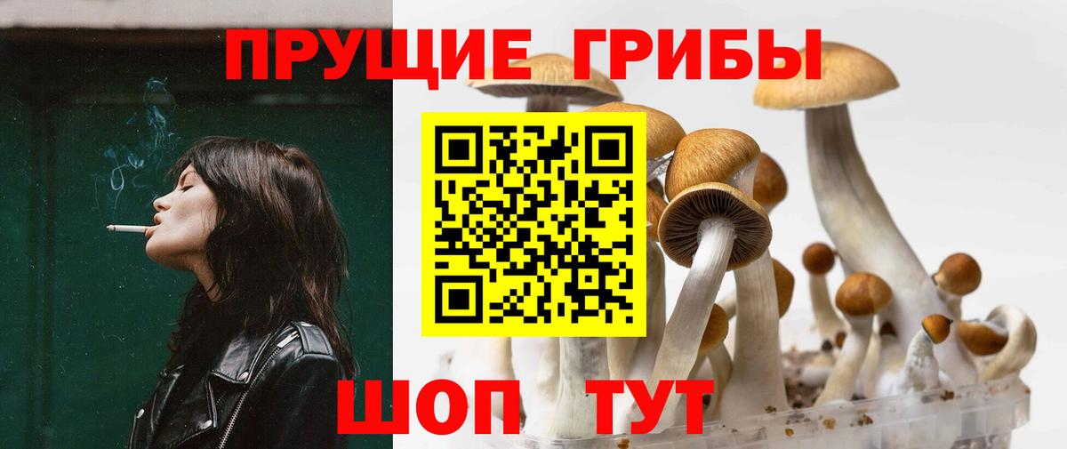 Галлюциногенные грибы мухоморы  продажа наркотиков  Псилоцибиновые грибы прущие грибы  Котлас  Вход с VPN 