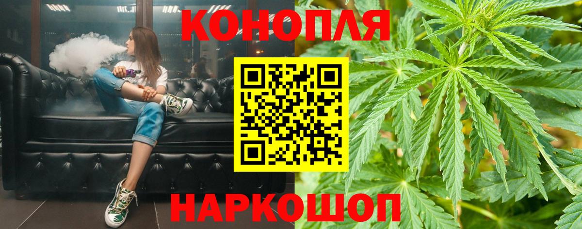 Каннабис сатива Котлас